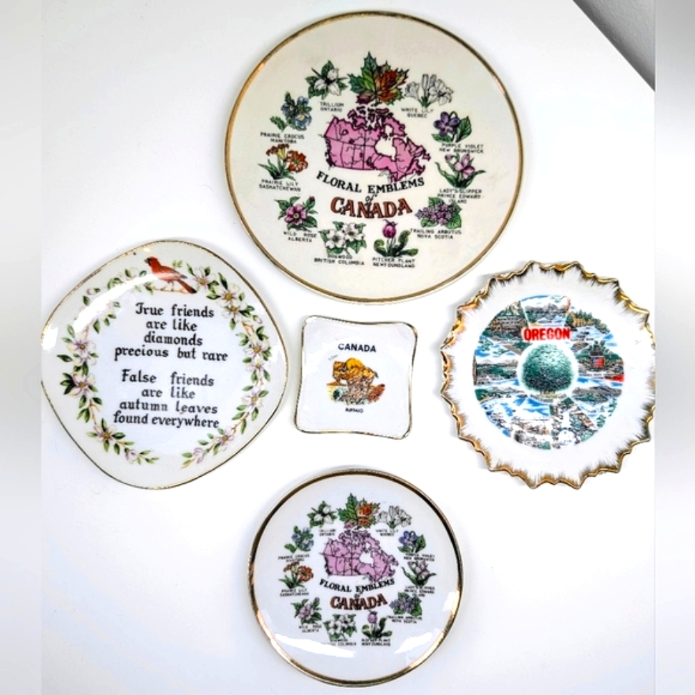 Cottage Core Wall Decor Souvenir Plates Lot of 5 - Scenic Designs